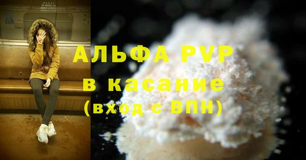 прущие грибы Армянск