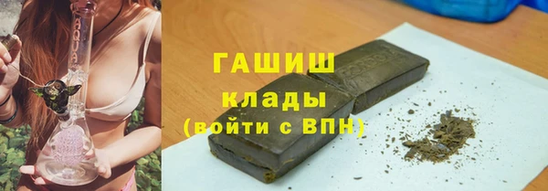 прущие грибы Армянск