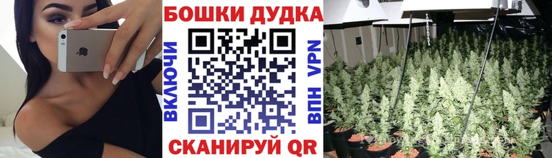 shop клад Тында Каннабис Ganja наркошоп